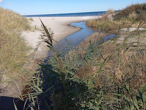 A beach with a narrow stream flowing through it, surrounded by grassy dunes. - 4 Star Holiday Home in Albaek (Aalbaek)