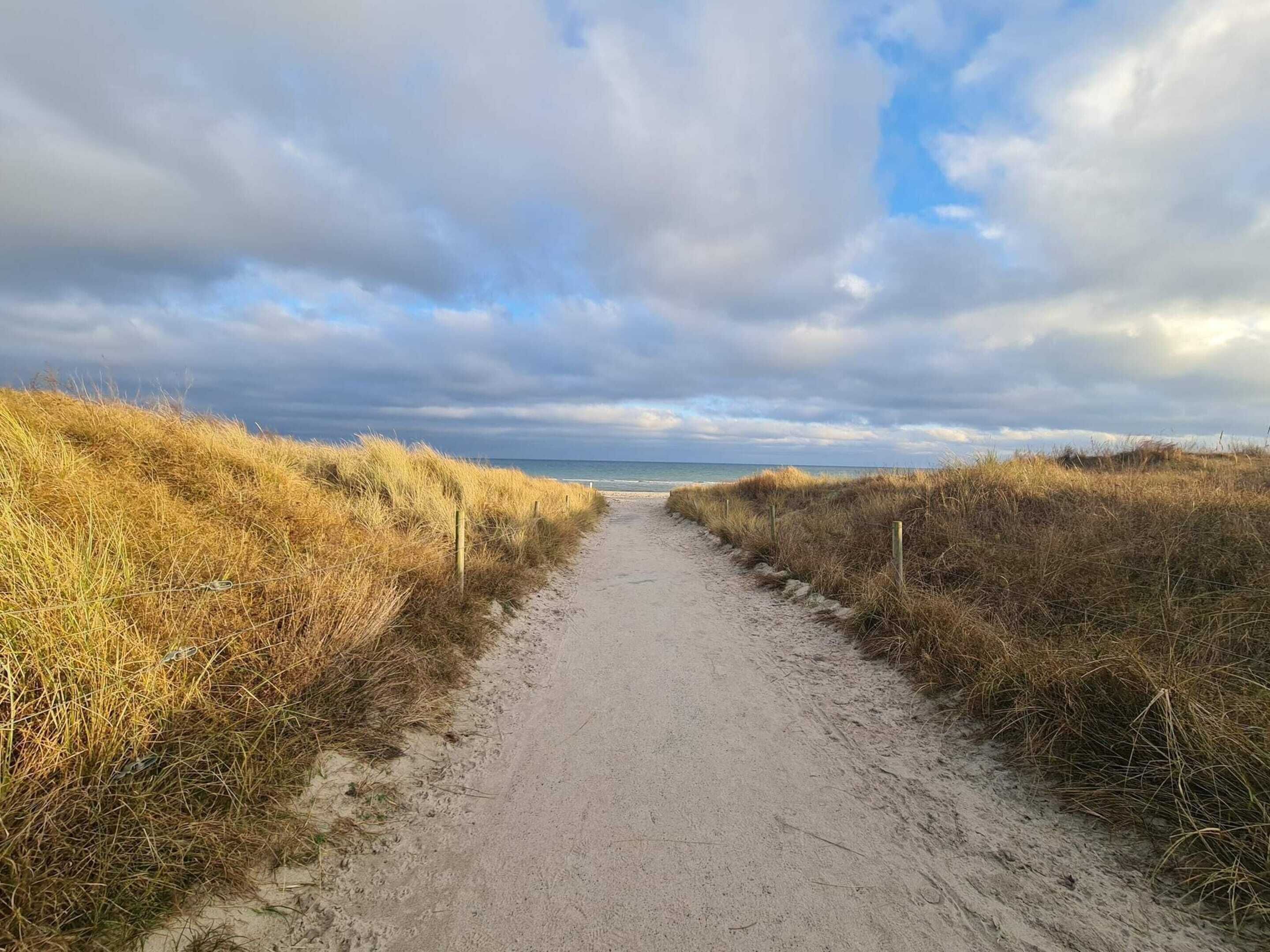 Un sentiero sabbioso che conduce alla spiaggia, fiancheggiato da dune erbose.