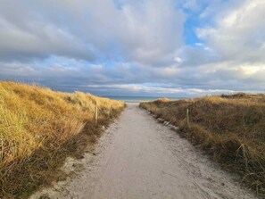 A sandy path leading to the beach, flanked by grassy dunes. - 4 Star Holiday Home in Idestrup (Idestrup)
