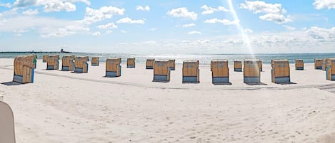 A beach with rows of beach chairs and a pier in the background.