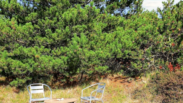 House | Dining - 10 Person Holiday Home in Blavand (Blavand)