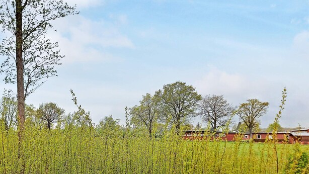 House | Property grounds - Holiday Home in GrÃ¶mmitz (Groemitz)