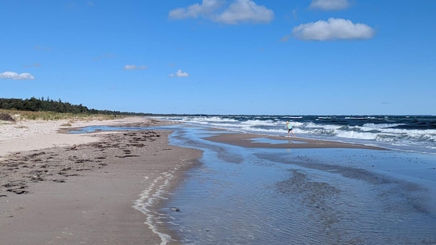 A beach with a clear sky, waves, and a person walking.