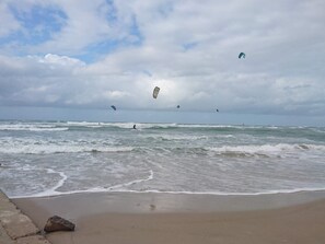 A beach with waves, a rock, and kites in the sky.
