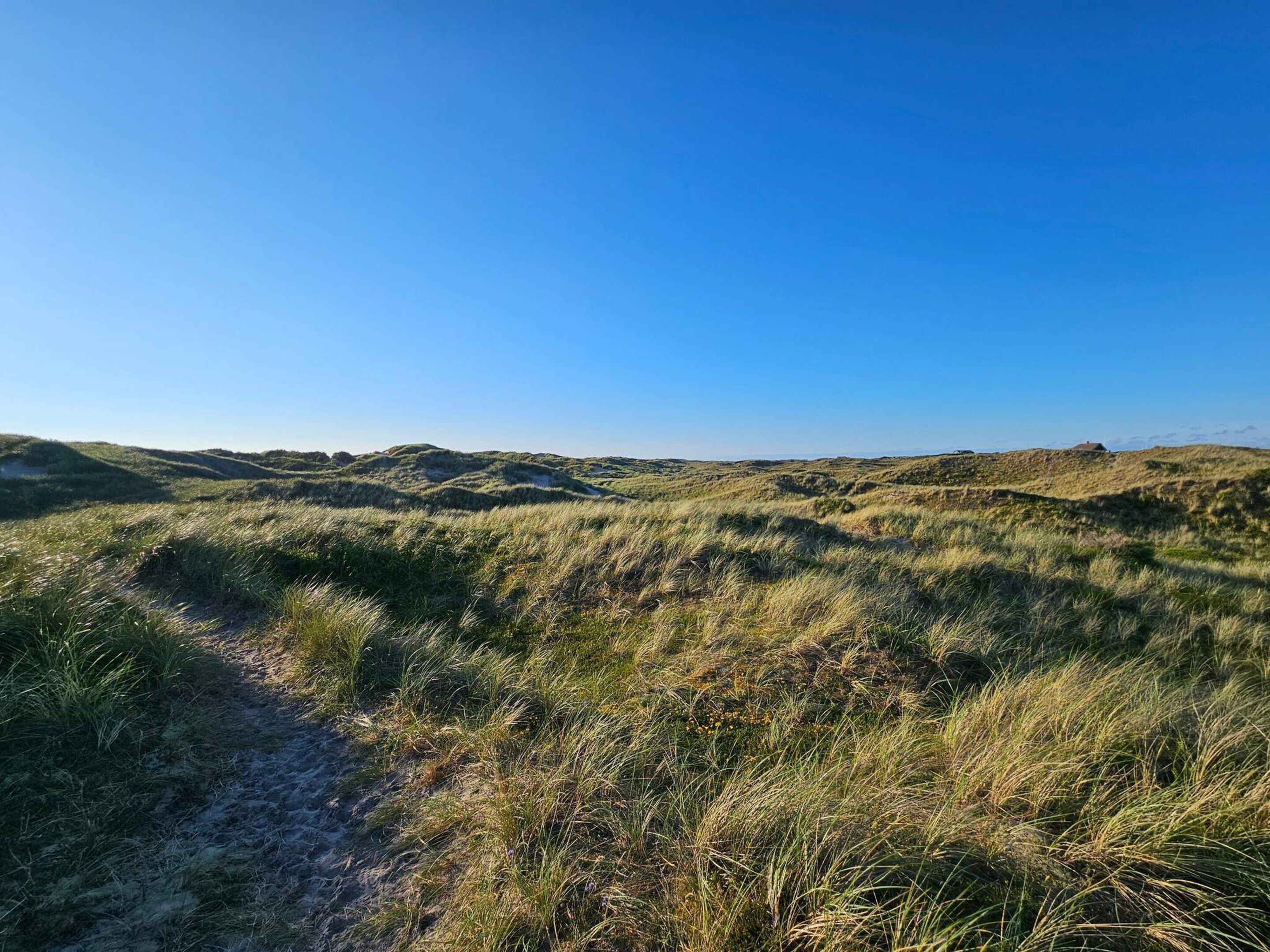 A natural landscape with undulating terrain and a clear sky.