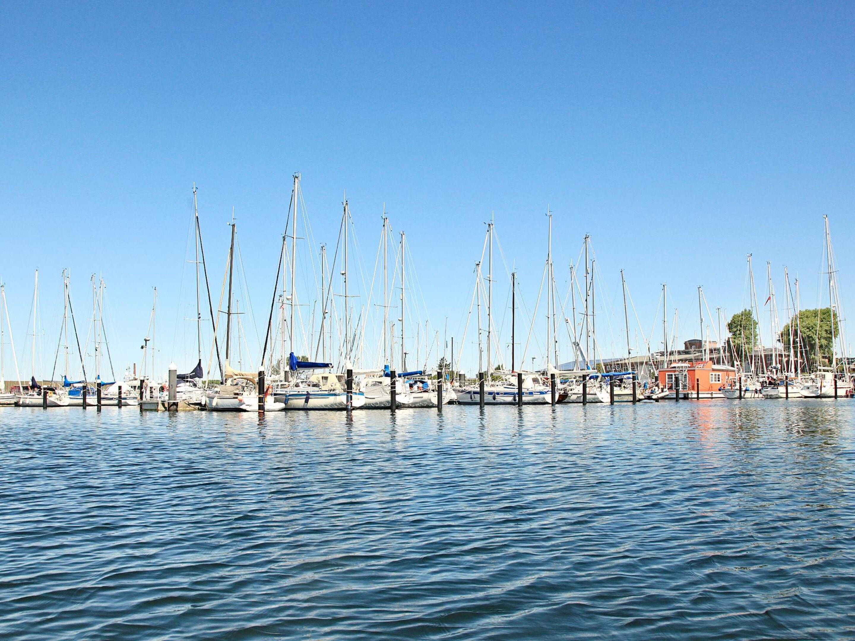 A marina with multiple sailboats docked.