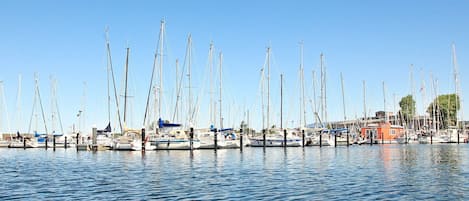 A marina with multiple sailboats docked.