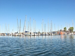 Ein Yachthafen mit mehreren Segelbooten, die dort liegen.