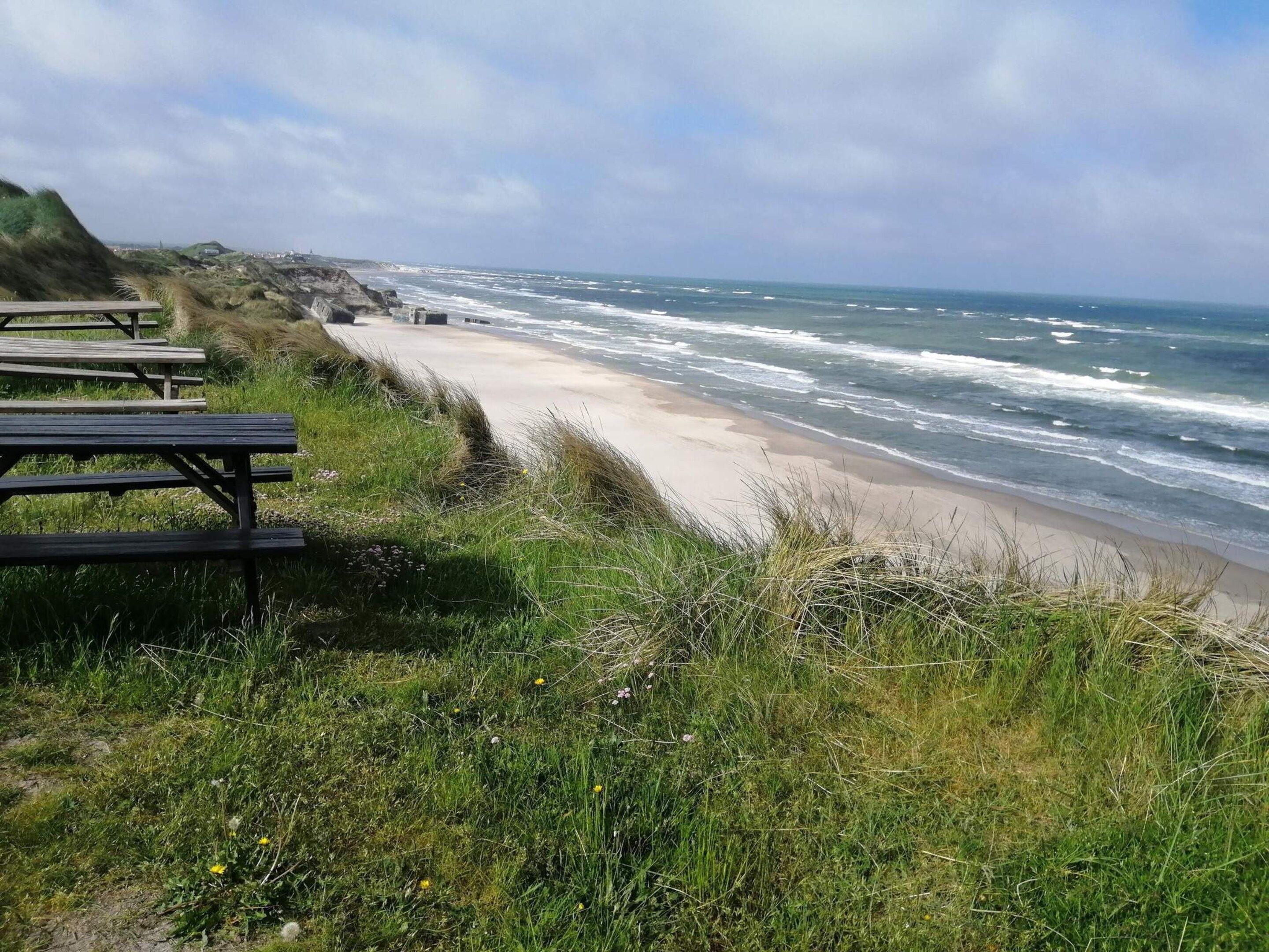 Ein Küstenstrand mit Picknicktischen und grasbewachsenen Dünen.