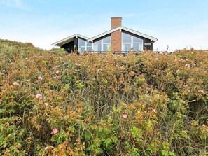 Vista desde la propiedad