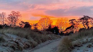 Un sentier qui traverse un paysage naturel, avec des arbres et un coucher de soleil en arrière-plan.