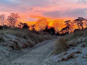 A pathway leading through a natural landscape with trees and a sunset in the background. - 8 Person Holiday Home in Vaeggerlose (Vaeggerlose)
