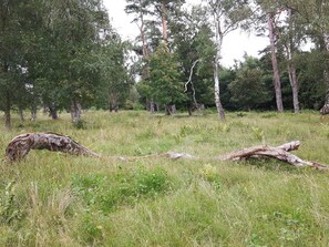 Unclassified image, 5 of 47, button - 8 Person Holiday Home in Vaeggerlose (Vaeggerlose)