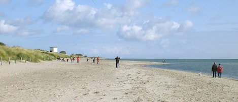 Nhà | Bãi biển