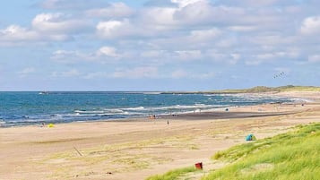 ุดูุฉ | ุดุงุทุฆ