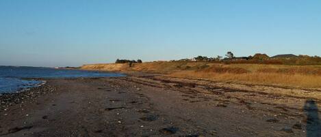 House | Beach