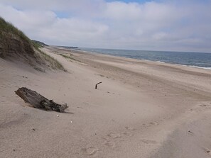 A sandy beach with a large log and sparse vegetation. - 5 Star Holiday Home in Vinderup (Vinderup)
