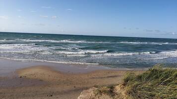 A beach with waves, a sandy shore, and some grass.