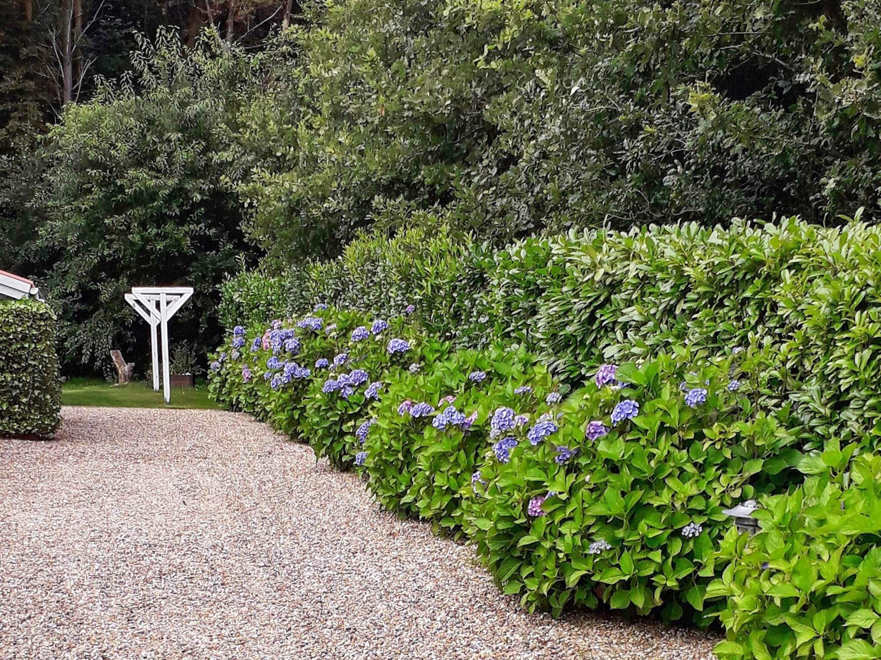 House | Property grounds