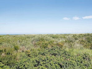 Een natuurlijk landschap met weelderige begroeiing en een heldere lucht.