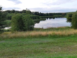 House | Miscellaneous