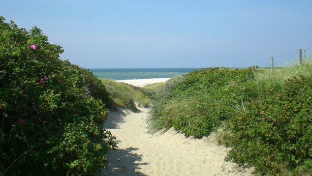 Een zandpad dat naar een strand leidt, met een helder uitzicht op de oceaan.