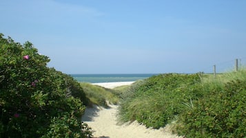 ุดุงุทุฆ