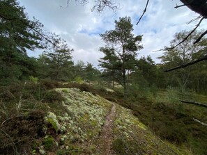 House | Miscellaneous - 6 Person Holiday Home in Hadsund-by Traum (Hadsund)