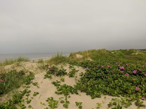 House | Beach