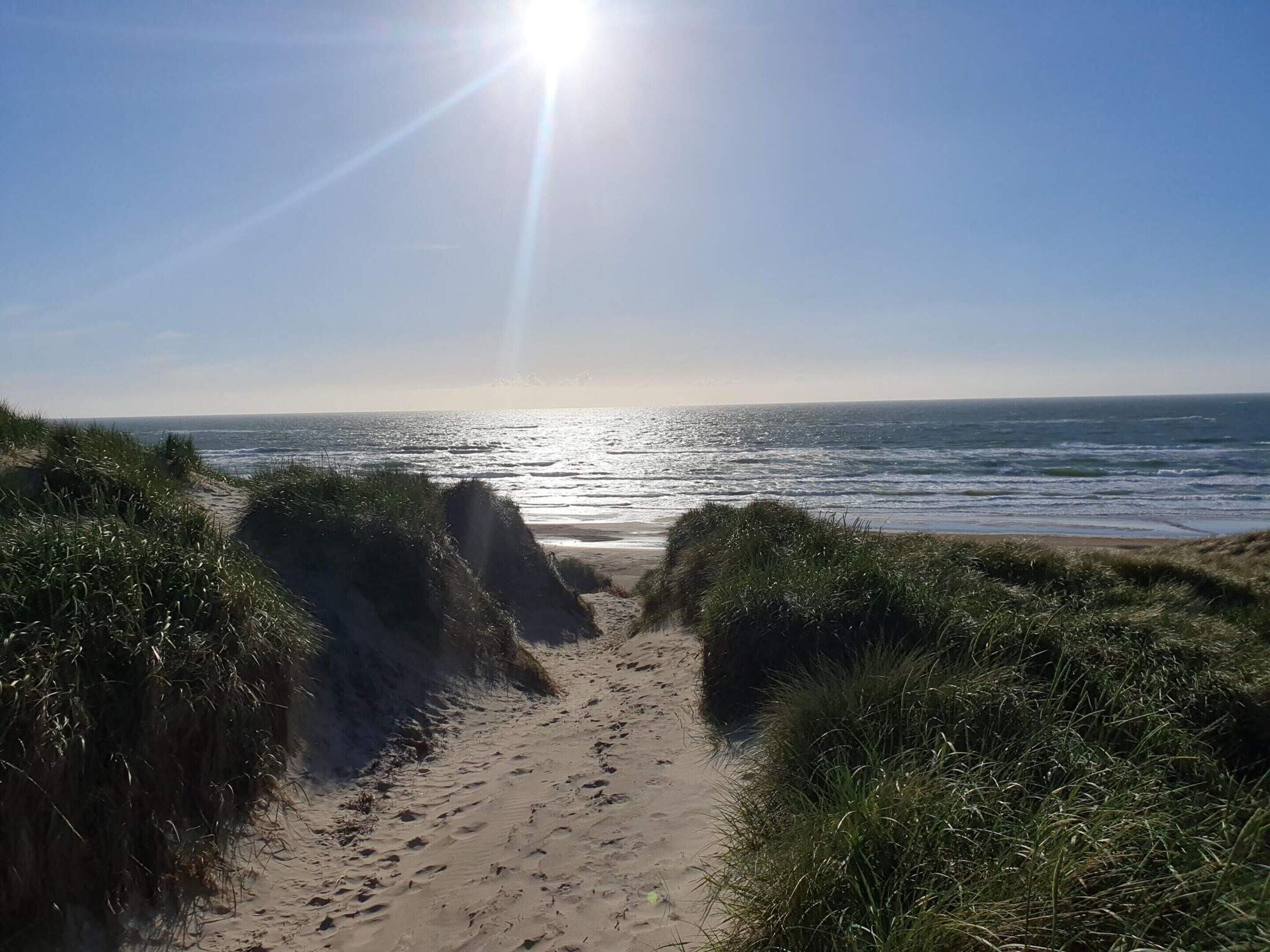 Un sentier qui longe la plage et mène à l’océan, sous un ciel dégagé.