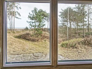 Une fenêtre donnant sur un paysage naturel, avec des arbres et une zone herbeuse.