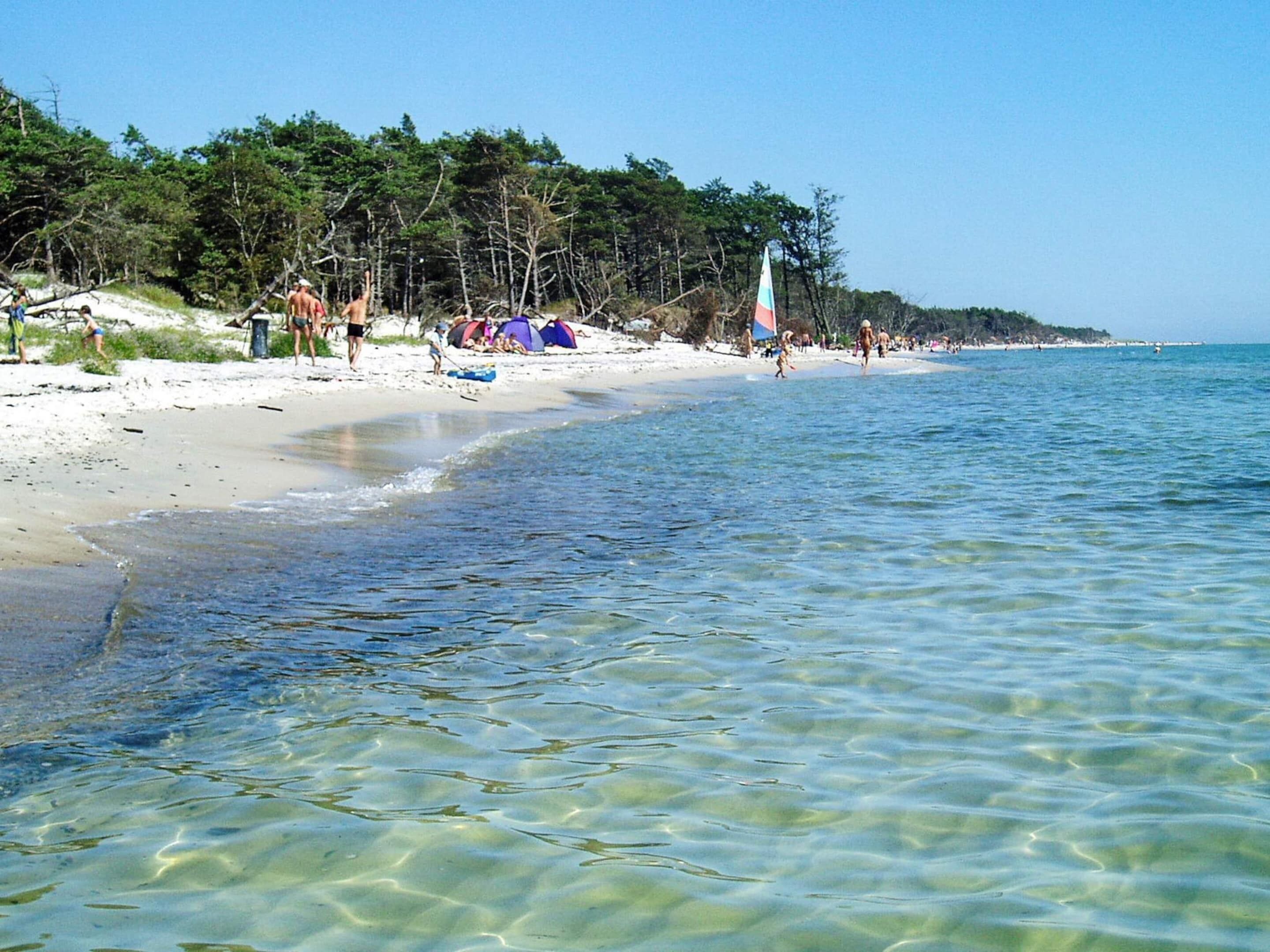 House | View from property