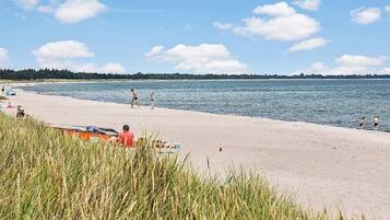 House | View from property