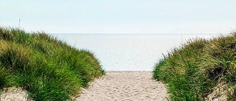 Un sendero arenoso que conduce a una playa, con césped a ambos lados.
