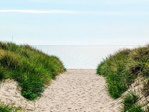A sandy path leading to a beach with grass on either side. - 5 Star Holiday Home in Vaeggerlose (Vaeggerlose)