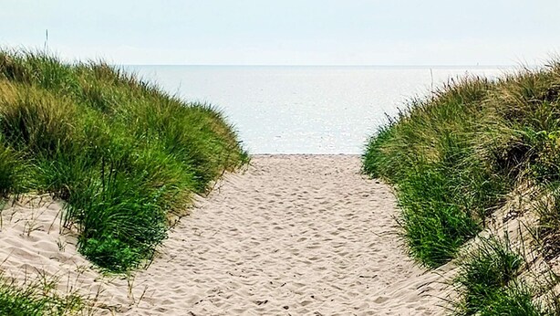 A sandy beach path leading to the sea, flanked by grass. - 5 Star Holiday Home in Vaeggerlose (Vaeggerlose)