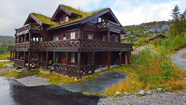 Exterior - 8 Person Holiday Home in Åseral (Aseral)