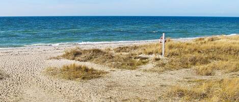 ハウス | ビーチ