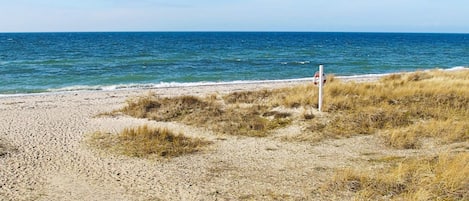 House | Beach