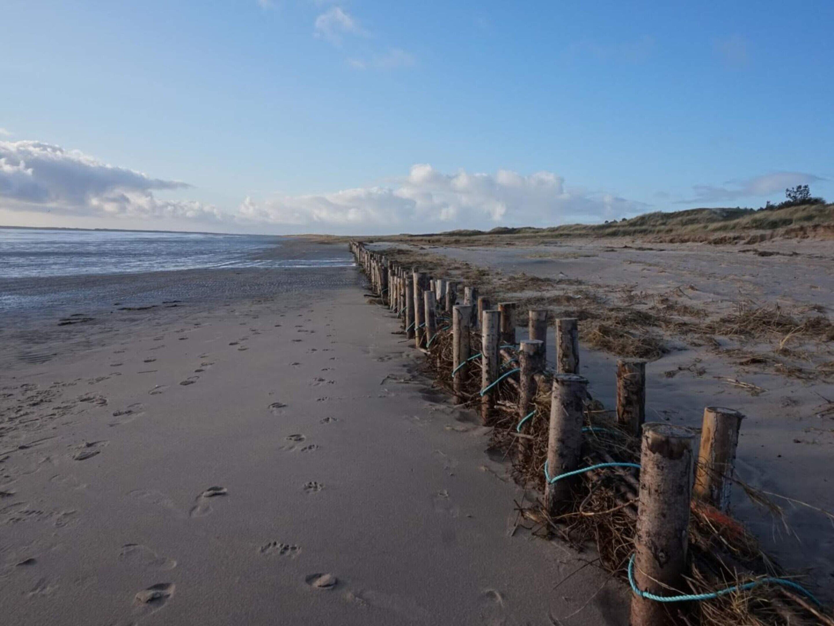 A sandy beach with wooden posts and ropes, footprints, and a clear sky.