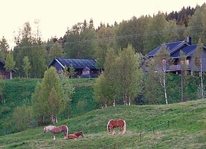 Ferienhaus | Verschiedenes