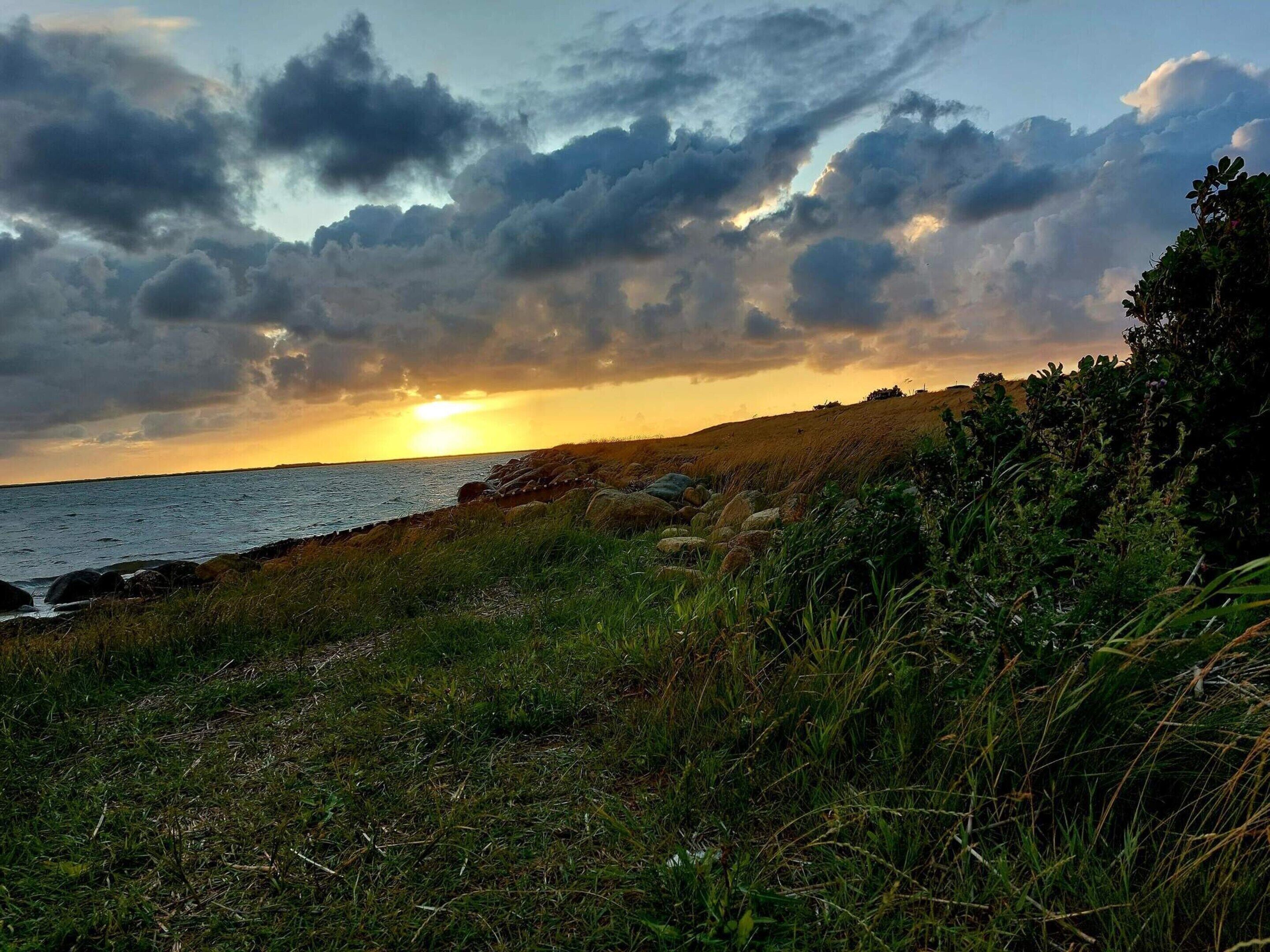 A coastal landscape with a sunset, grassy terrain, and a rocky shoreline.