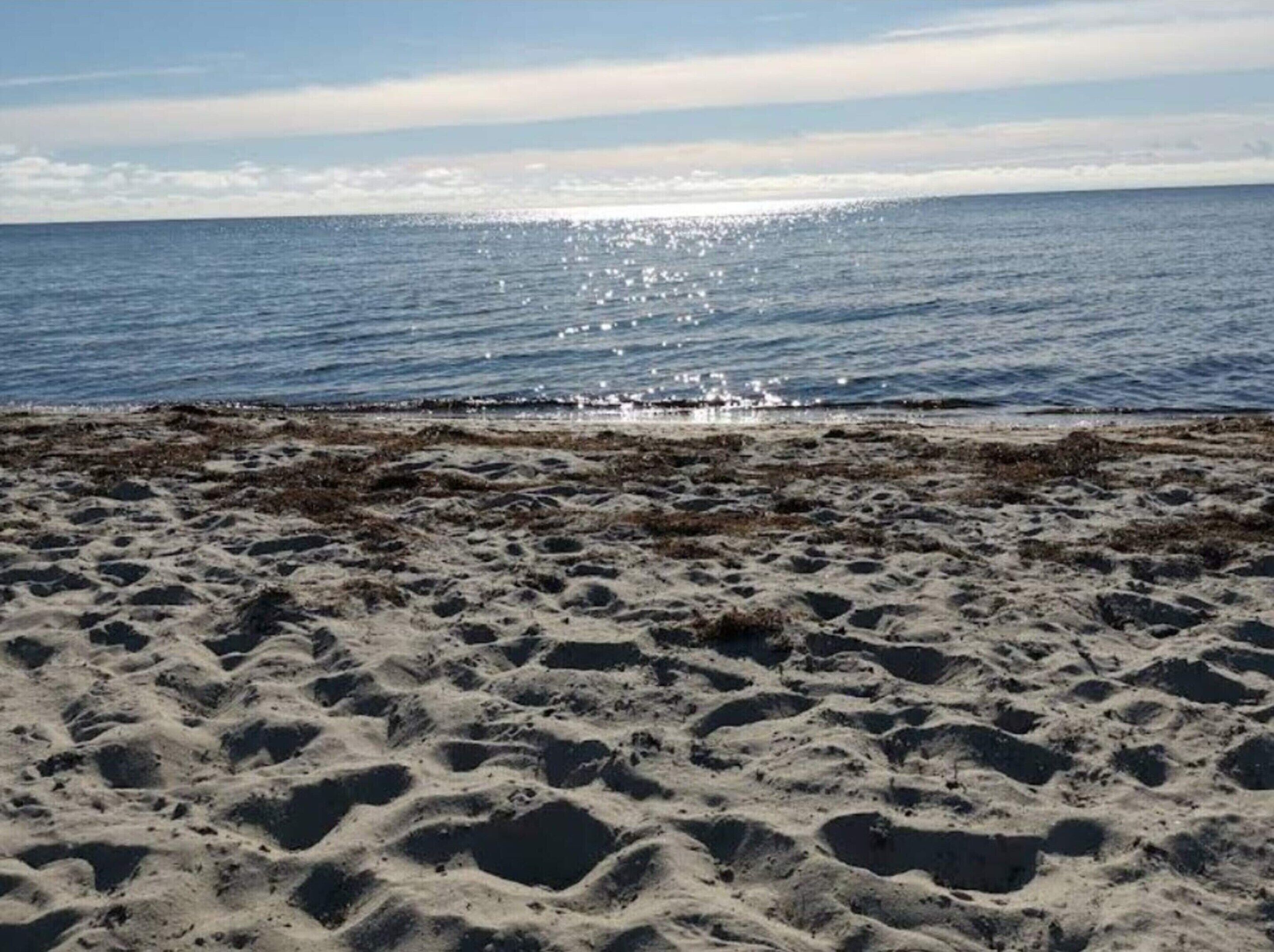 Una spiaggia sabbiosa con una vista limpida sull'oceano.