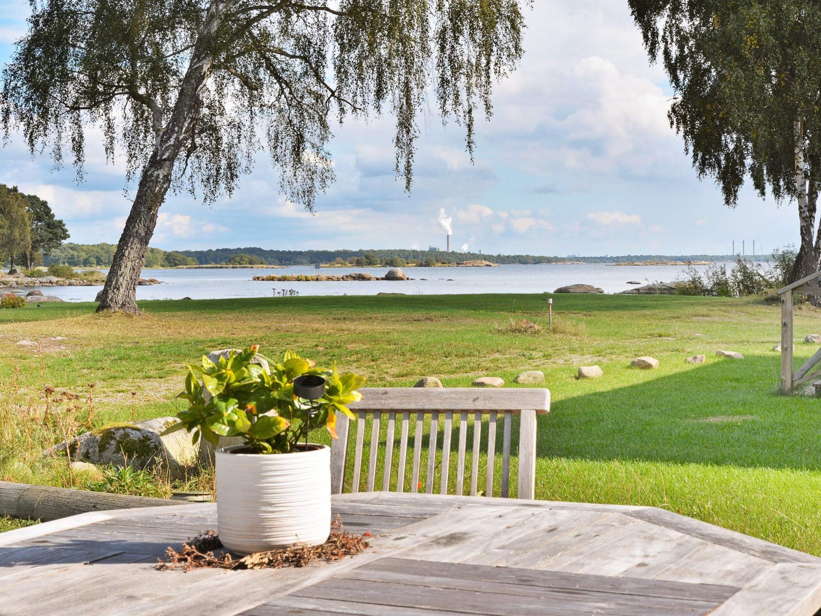 A wooden table with a potted plant, a bench, and a view of a lake with trees and distant structures.