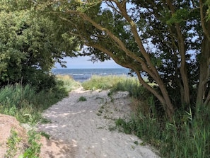 Un sendero arenoso que lleva a una playa, con abundante vegetación a un lado.
