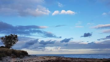 A beach with a clear sky, a lone tree, and a rocky shoreline.