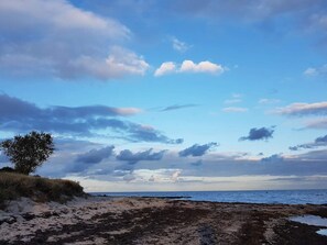 Una playa con cielo despejado, un árbol solitario y costa rocosa.