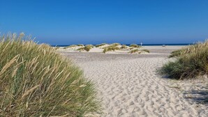 A sandy beach with dunes and a clear blue sky. - 4 Person Holiday Home in Skagen (Skagen)
