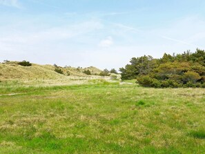 House | View from property