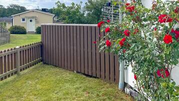Un patio cercado con valla de madera, zona de césped y rosal con flores rojas.